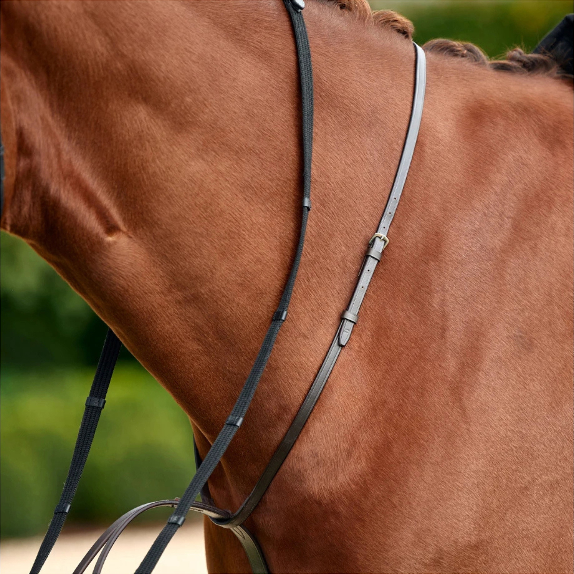 2026 Dublin Course Martingale 1031505 - Black